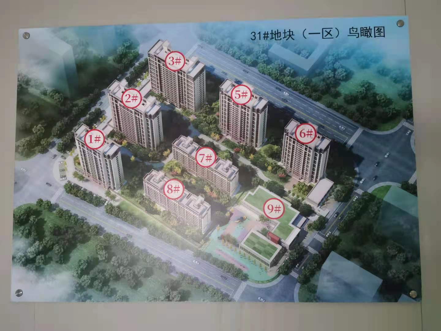 三迪一区.jpg