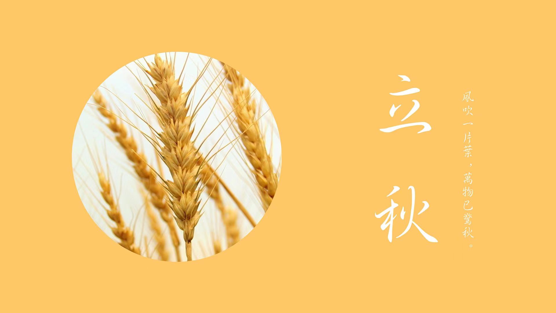 微信图片_20230808084307.jpg